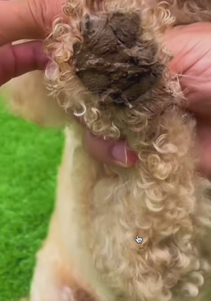 Portable Automatic Dog Paw Cleaner - Silicone Foot Washer for Small and Medium-Sized Dogs