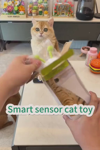 Motion-Activated Rechargeable Caterpillar Cat Toy